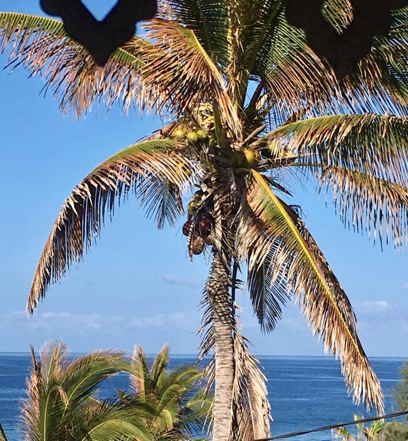 Le Reve Tropical 974 Apartment Trois Bassins Bagian luar foto