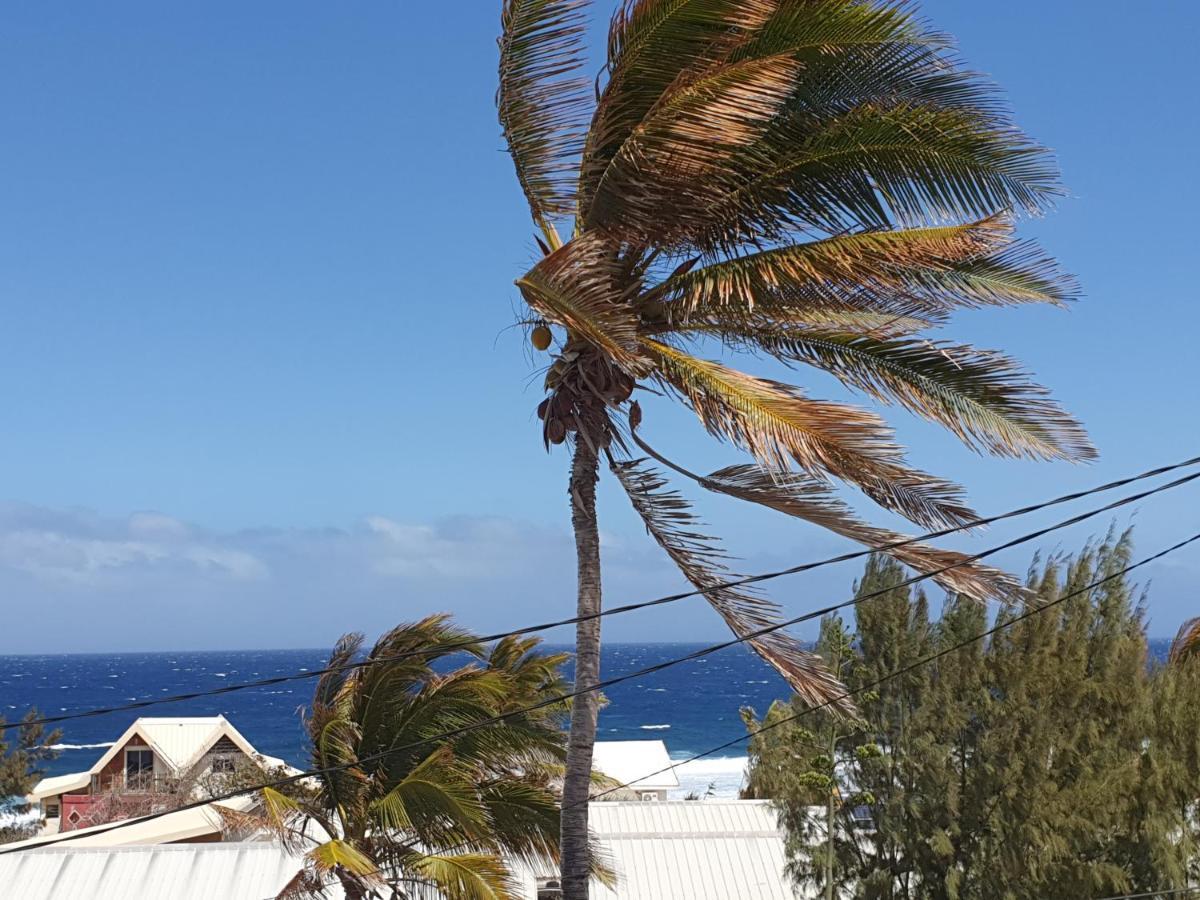 Le Reve Tropical 974 Apartment Trois Bassins Bagian luar foto